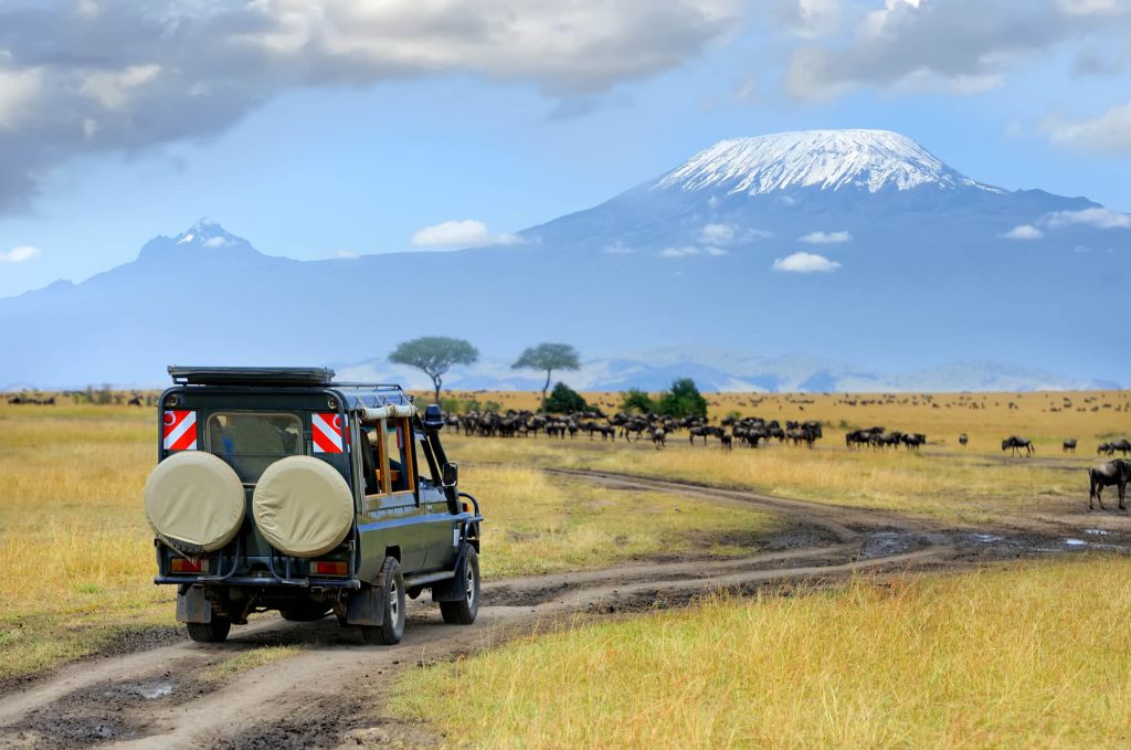 Safari Jeep and Wildebeest - What to wear on Safari in Tanzania
