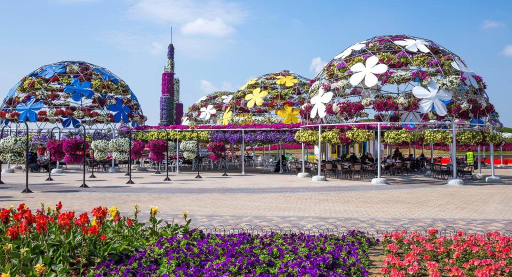 Dubai Miracle Garden in January