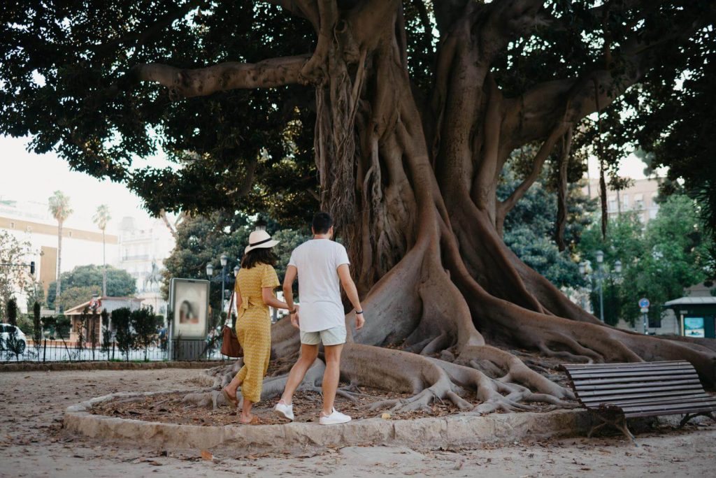 Man and woman in front of tree in Valencia