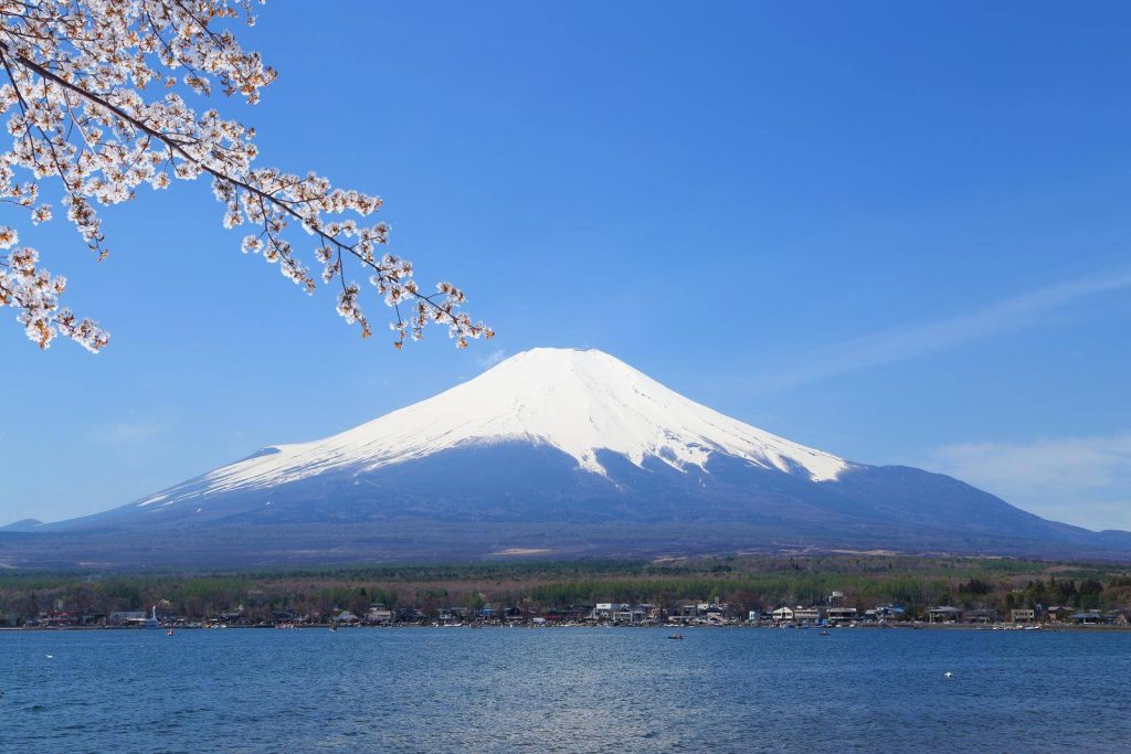 Mount Fuji with lake and cherry blossom in foreground