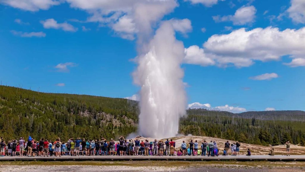 people watching the eruption of Old Faithful in Yellowstone in Summer