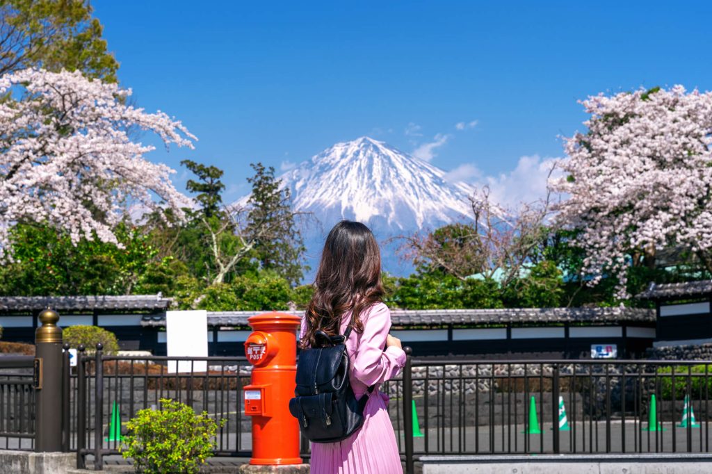 Image of a woman in a pink dress looking at cherry blossoms with Mount Fuji in the backgroun