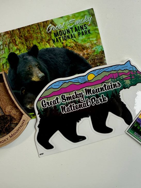 Best Souvenirs for Minimalist Travellers